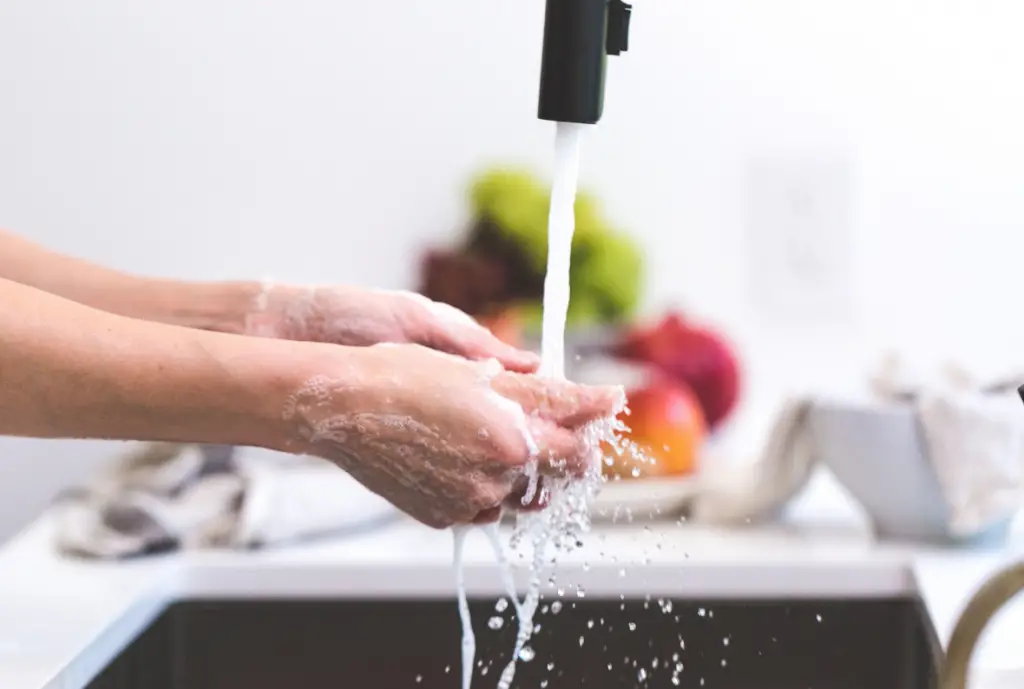 Proper Hand Washing is Essential for Preventing Viruses