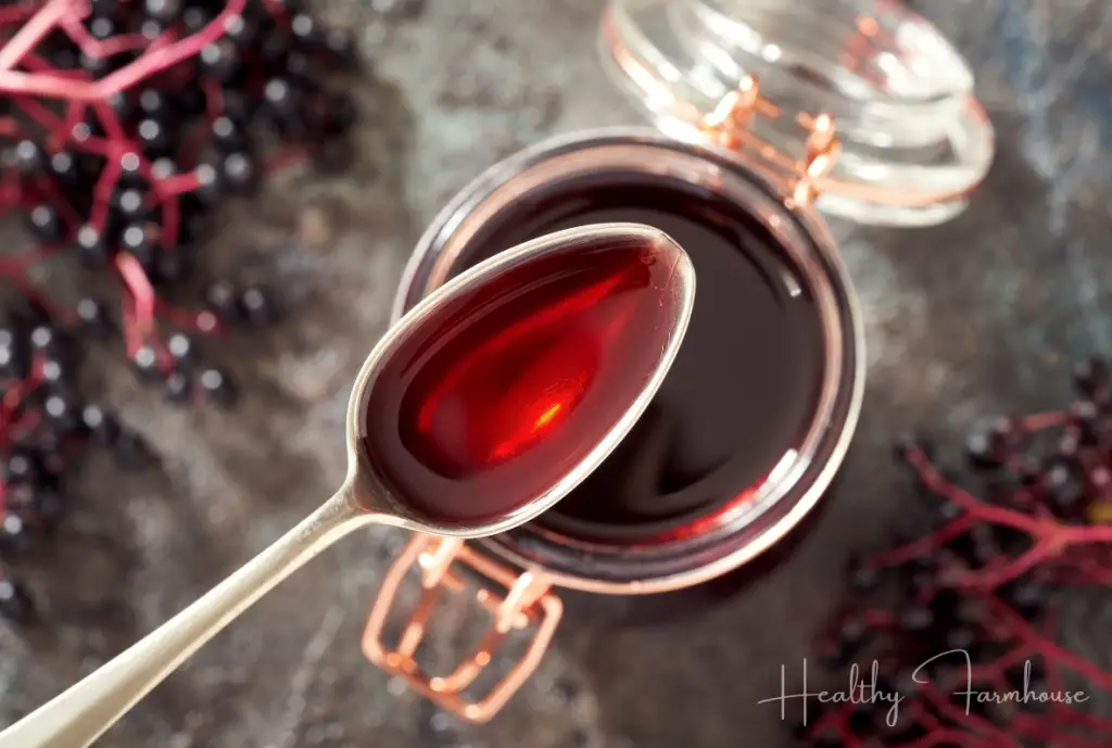 Take Elderberry Syrup as a Natural Flu Prevention Method