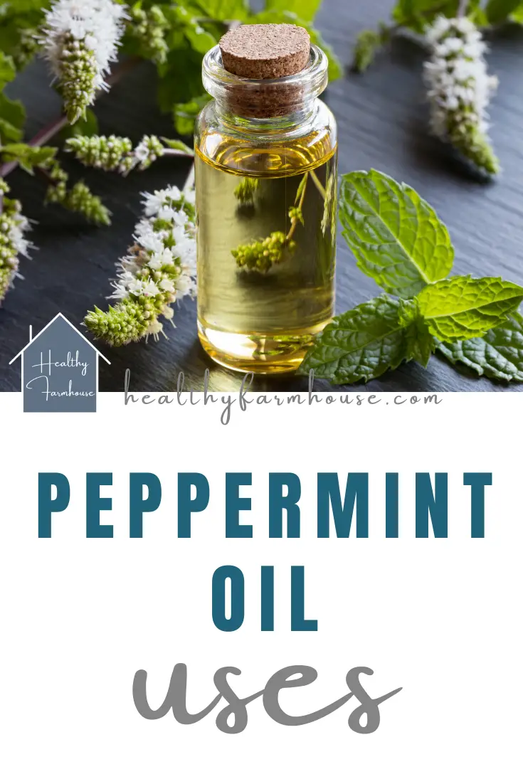 Peppermint Oil Uses