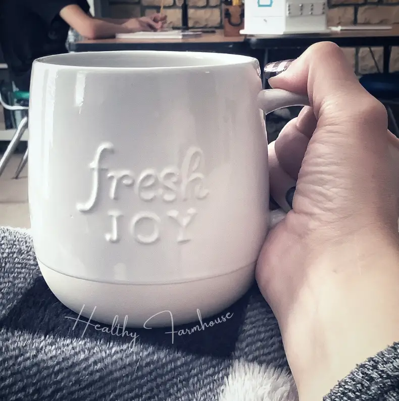 Fresh Joy Farmhouse Mug