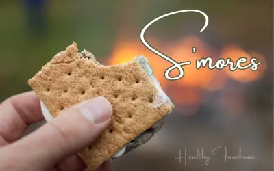 Guilt Free S’more Swaps