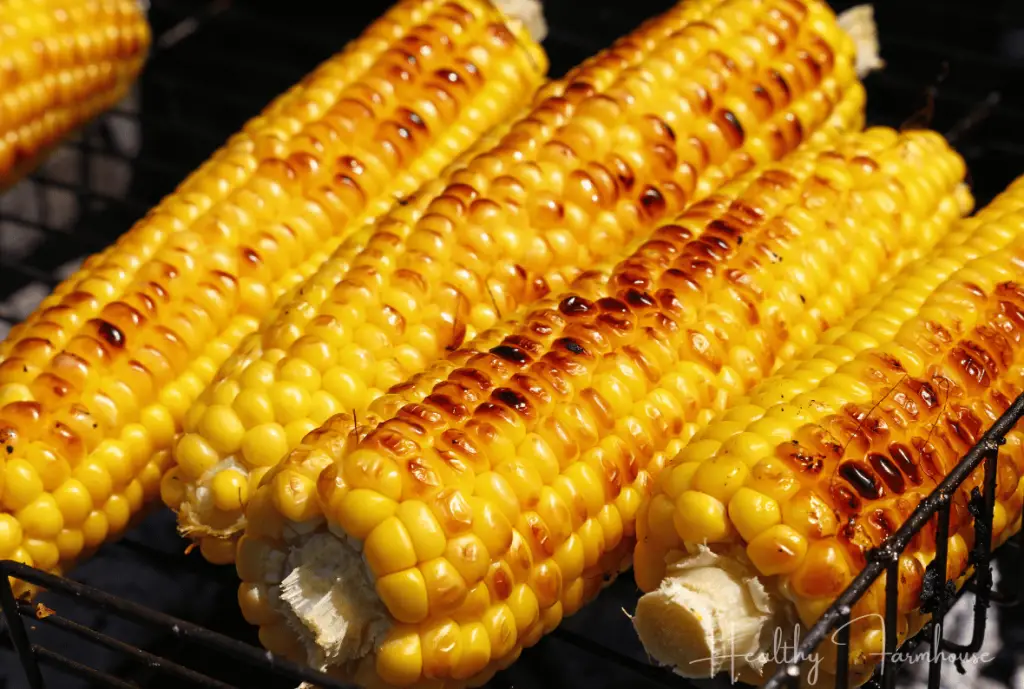 Grilled corn on the cob 