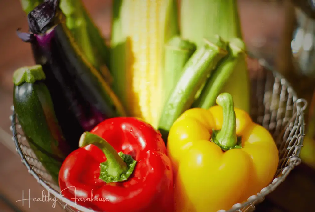 Basket of vegetables for grilling - peppers, corn, eggplant, squash