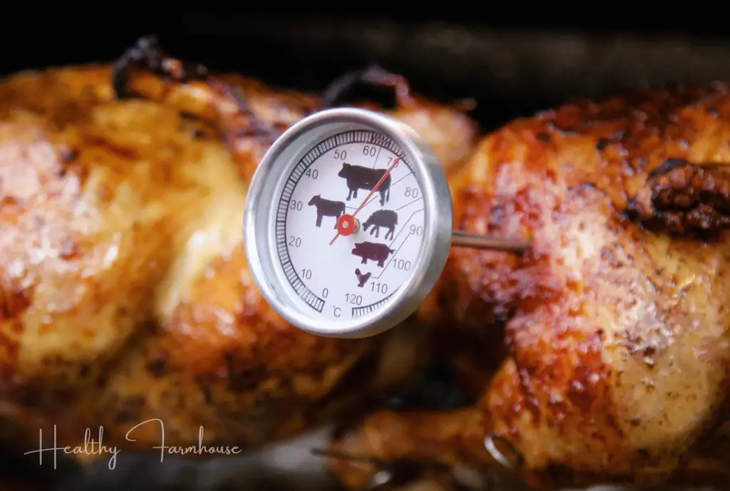 Meat thermometer