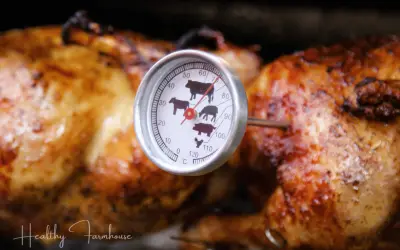 The Art of Healthy Grilling