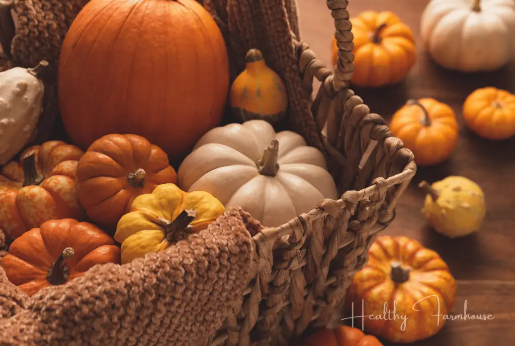 Basket of pumpkins in variety of colors (white, orange, yellow)