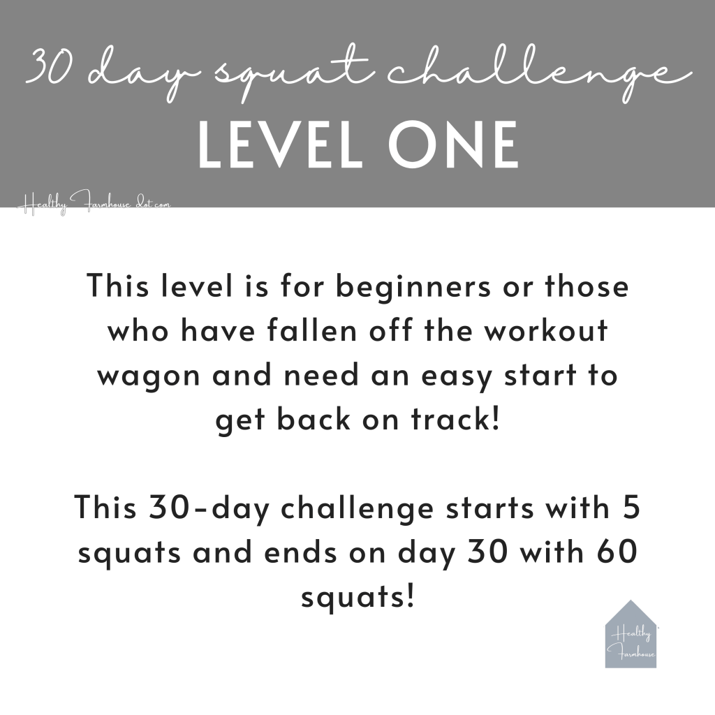 30 Day Squat Challenge Level ONE