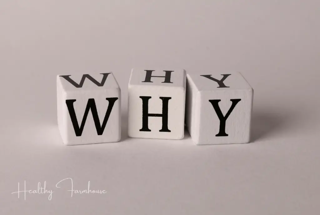Black and white blocks spelling WHY - working out throughout the day.